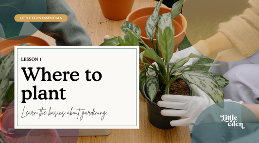1: Where to plant