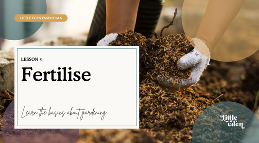5: Should I fertilise my plants?