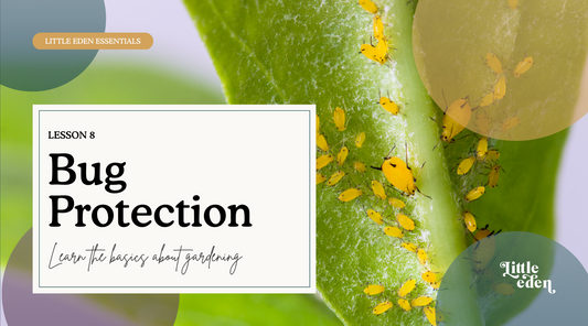 Bug protection