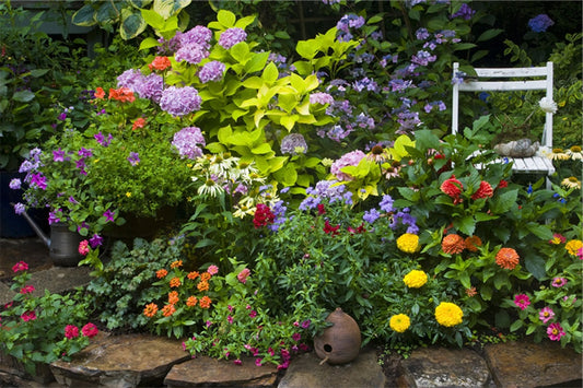 Gardening for beginners: Plant types explained