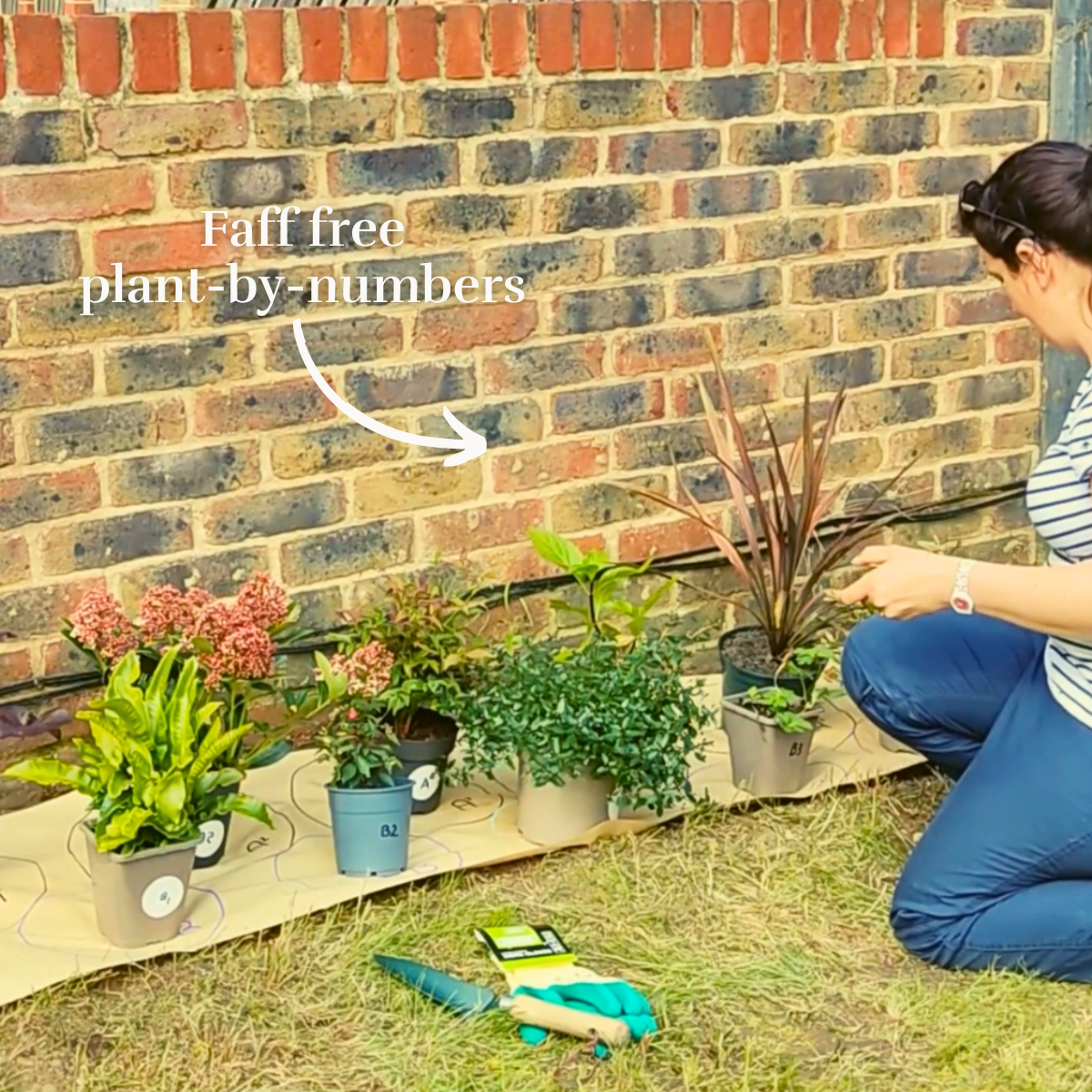 Tina's Garden-in-a-Box