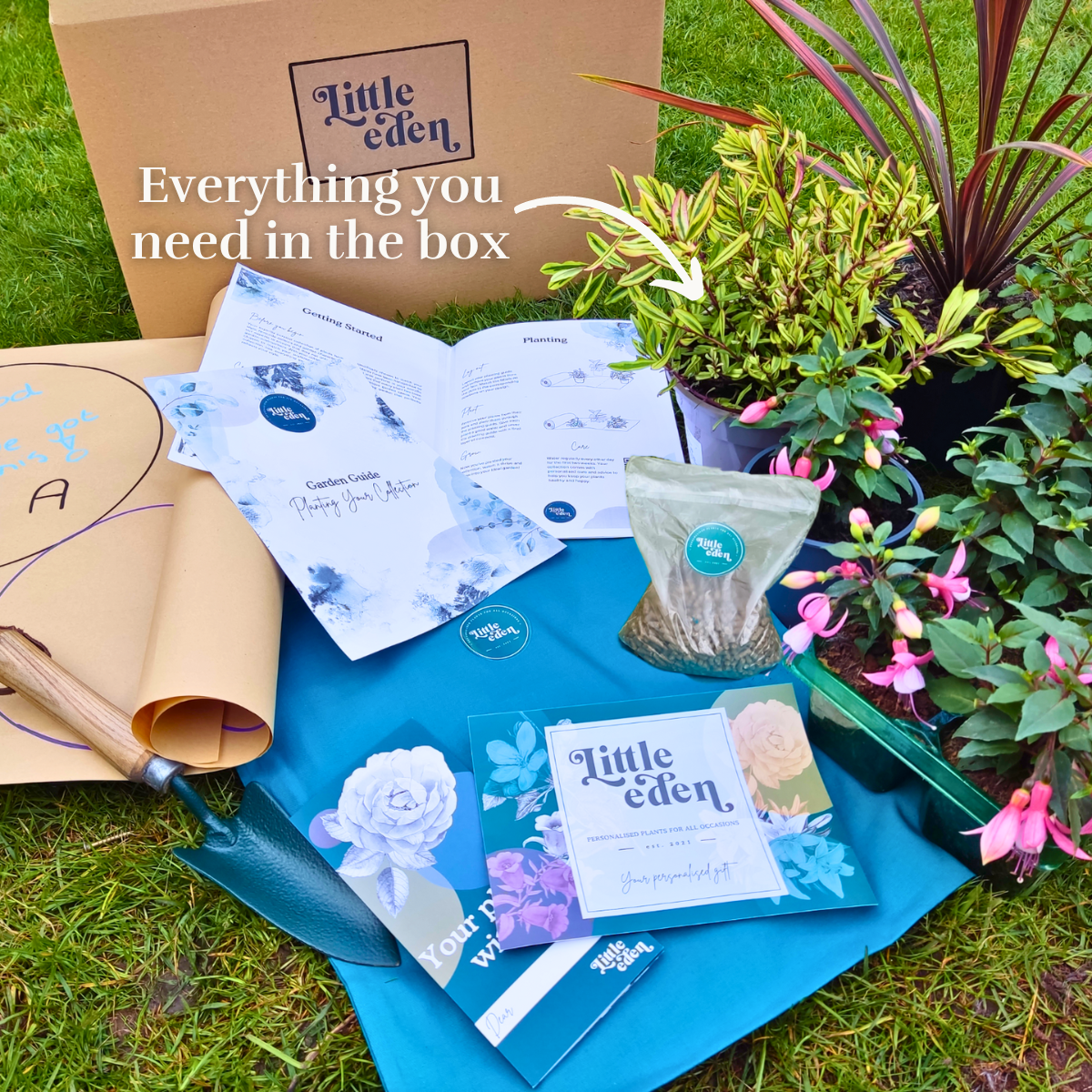 Tina's Garden-in-a-Box