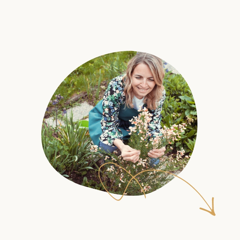 Simple choosing plants