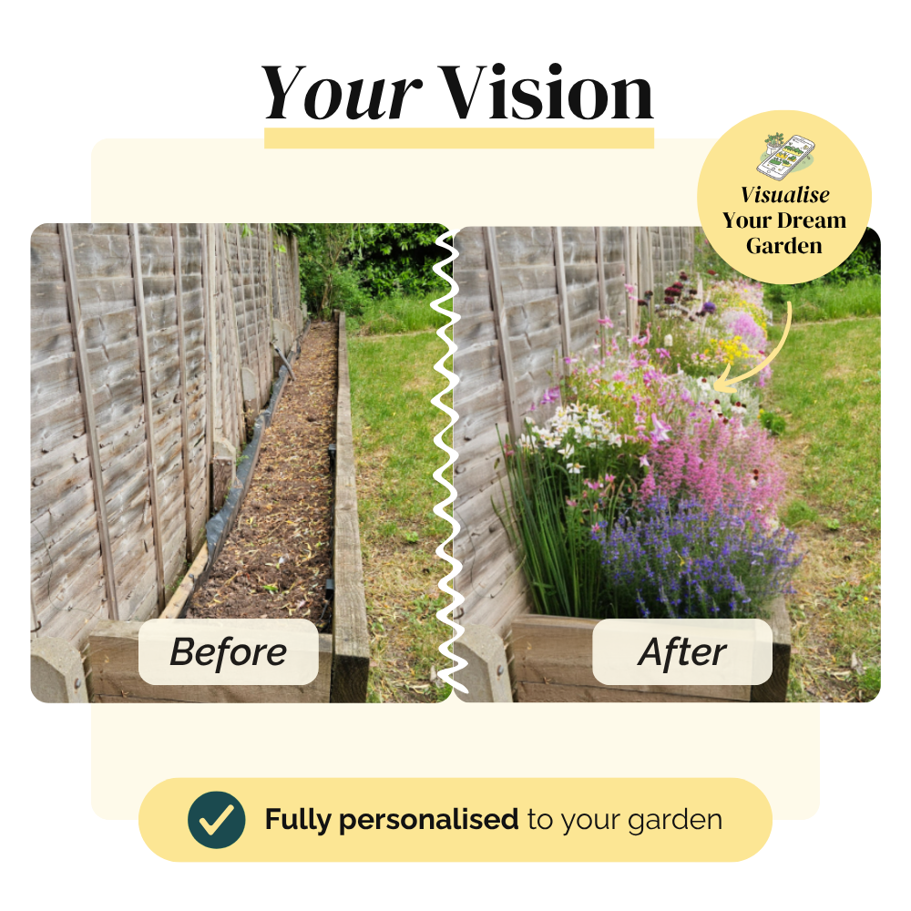 Your Garden Blueprint