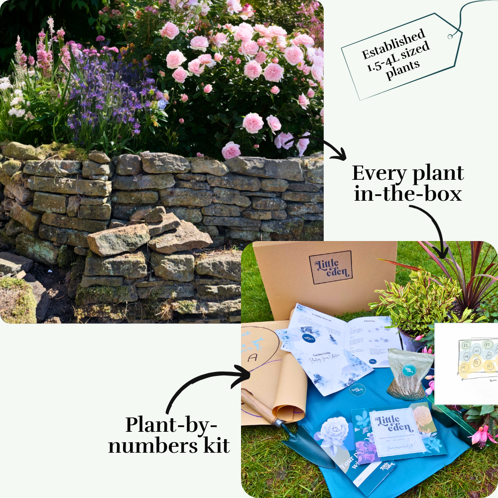 Anna's Garden-in-a-box