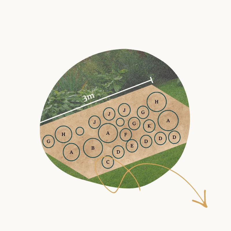 Plant-by-numbers