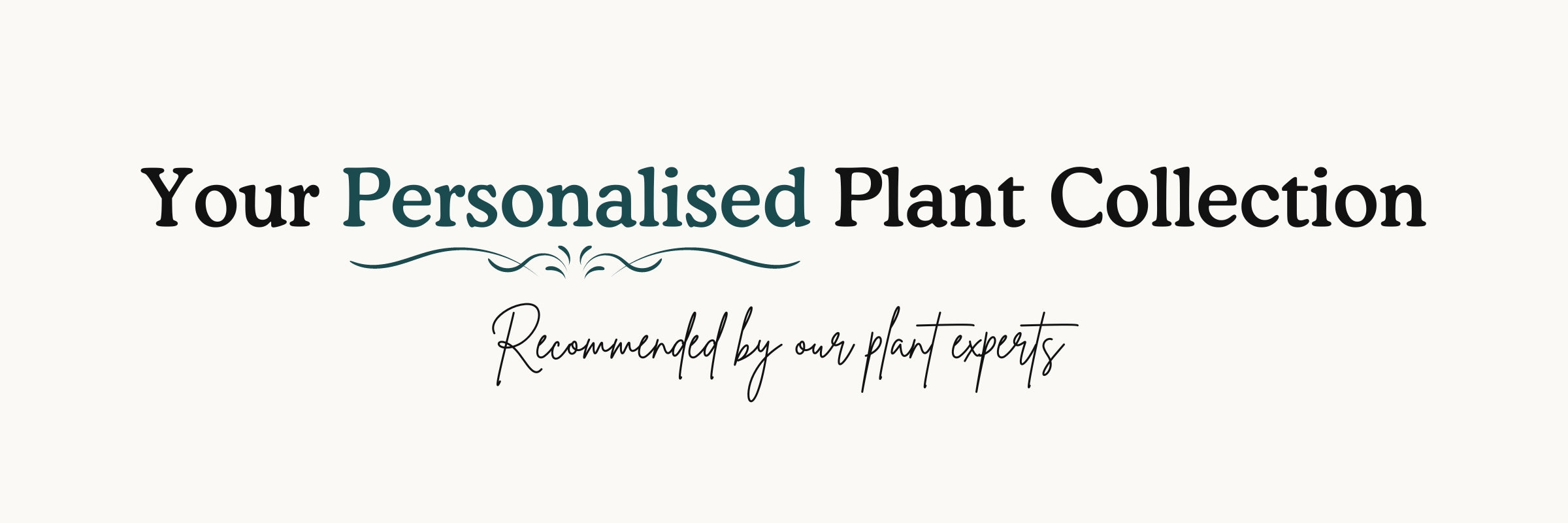 Your Personalised Plant Collection