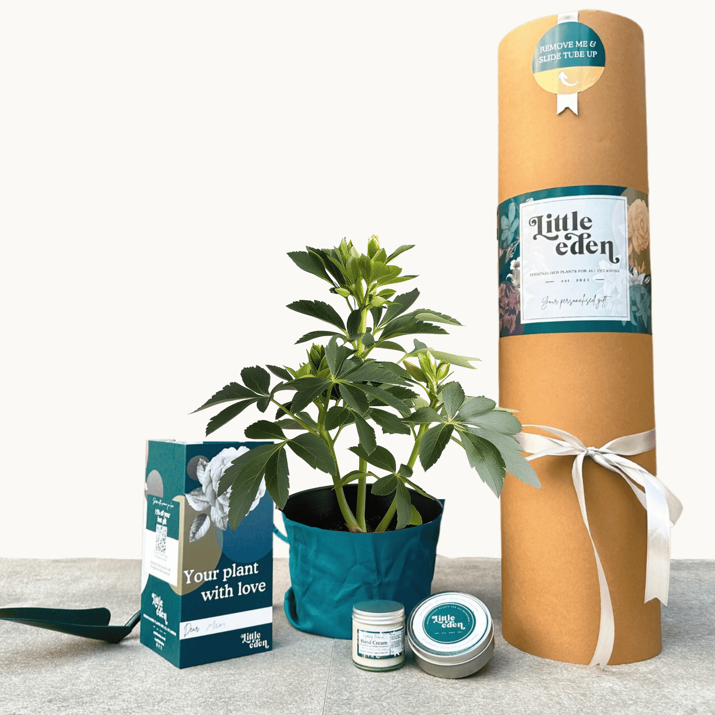 Hellebore Gift Set