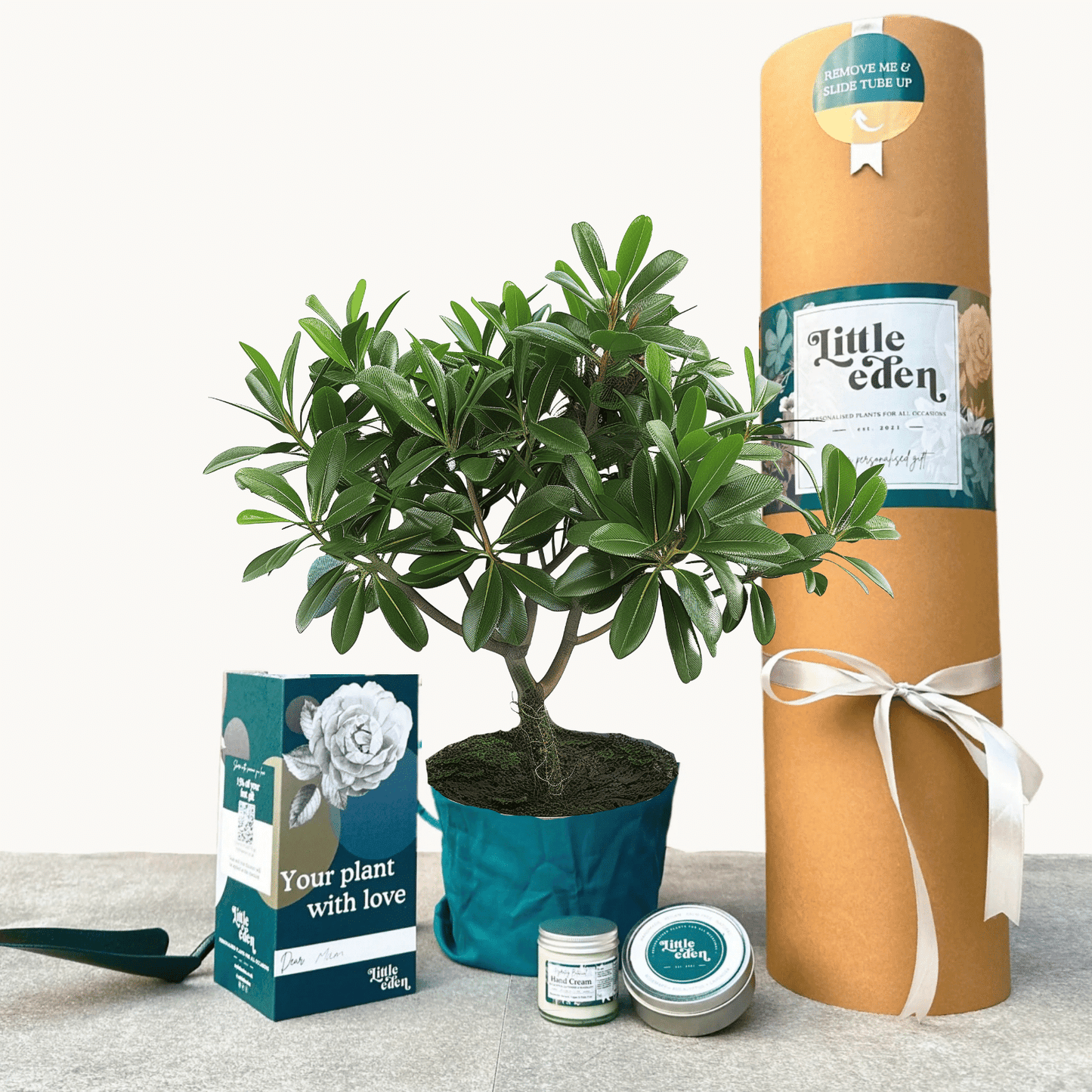 Japanese Mock Orange Gift Set