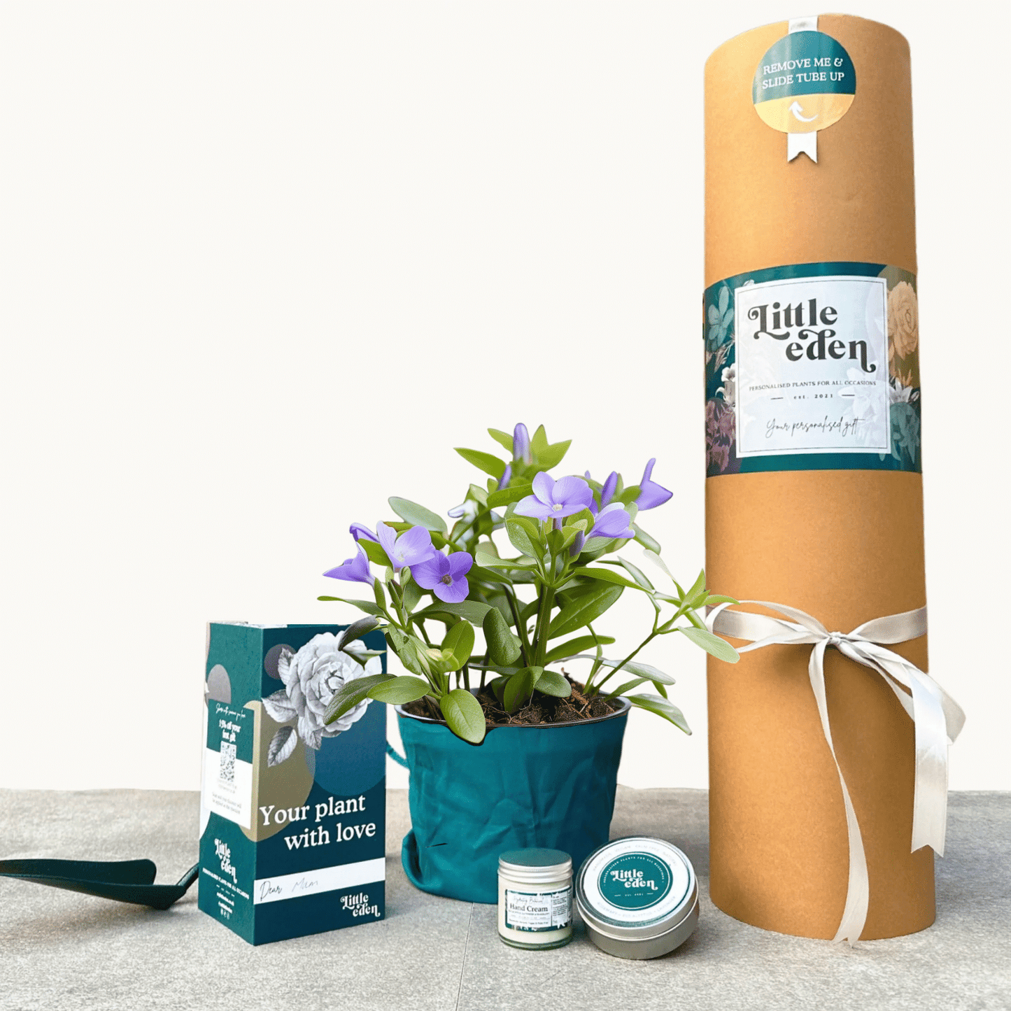 Lesser Periwinkle Gift Set