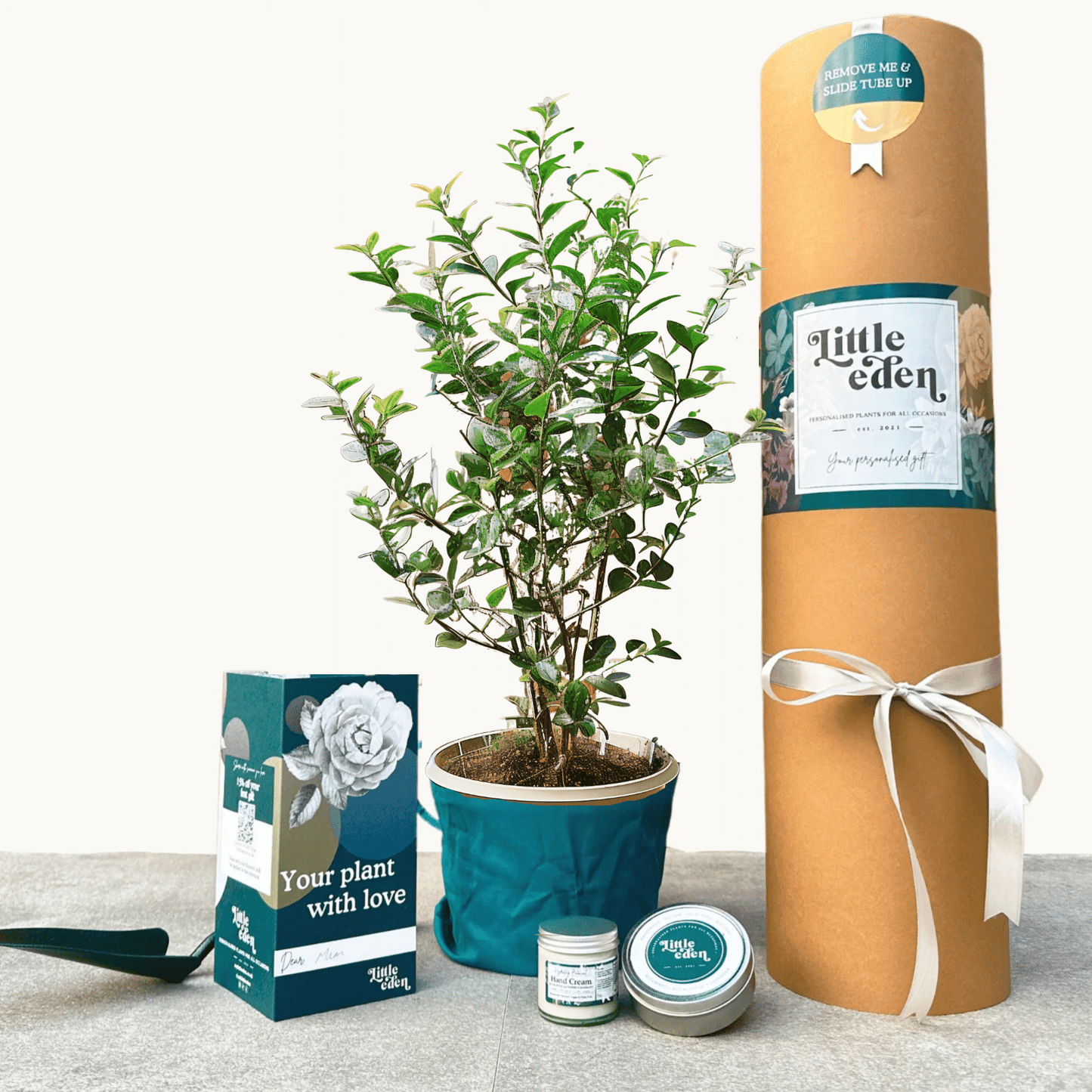 Osmanthus Gift Set