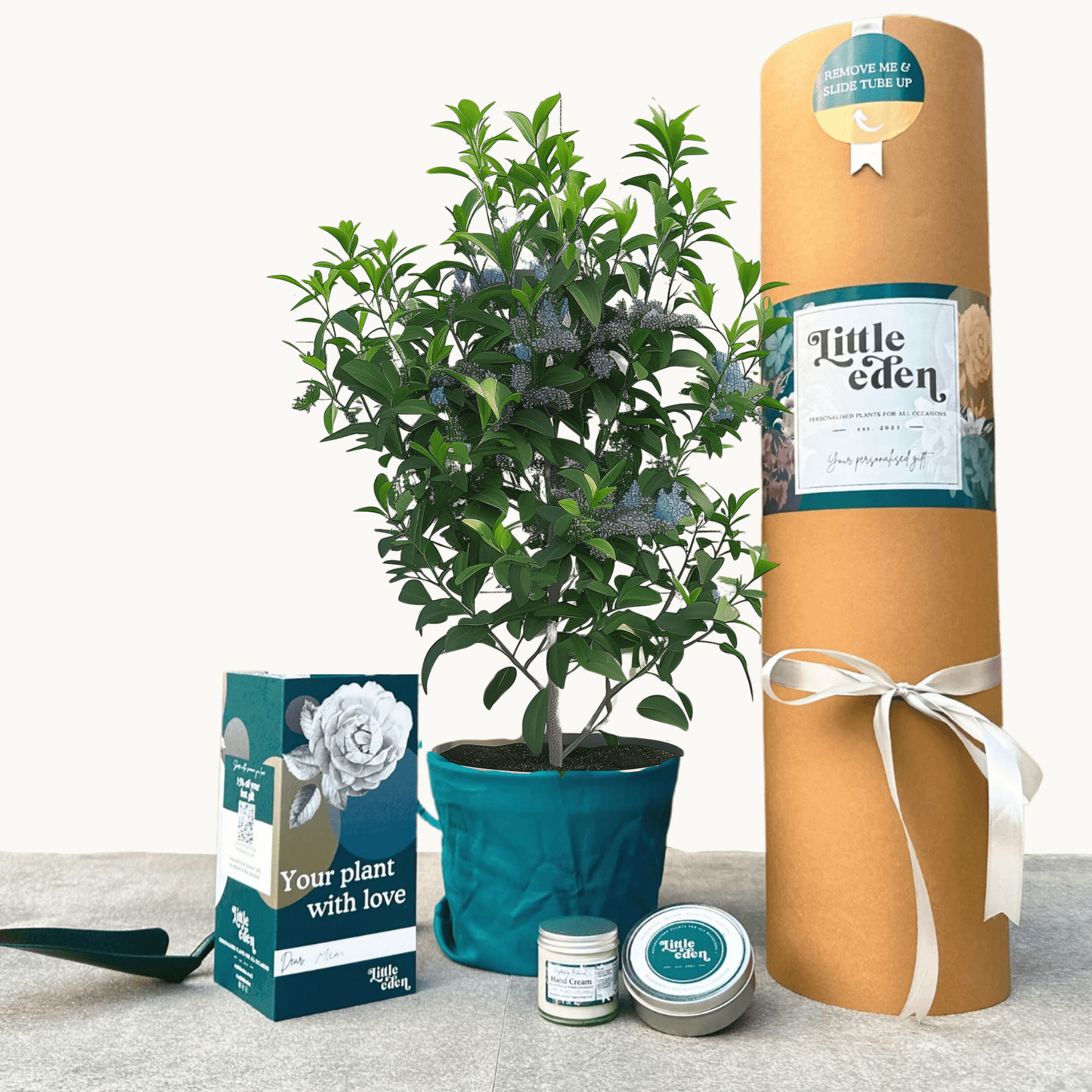 Californian Lilac Gift Set