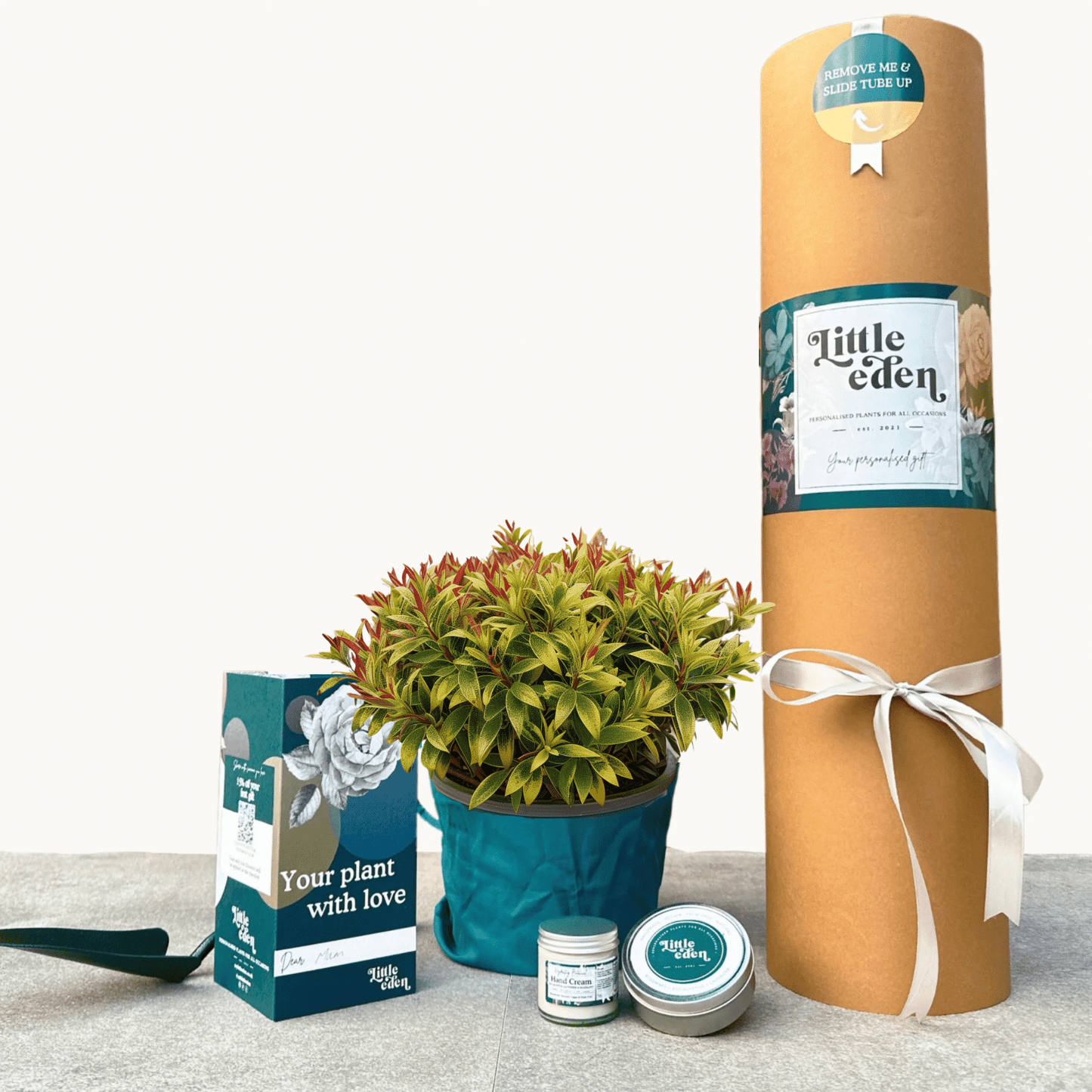 Spurge Gift Set