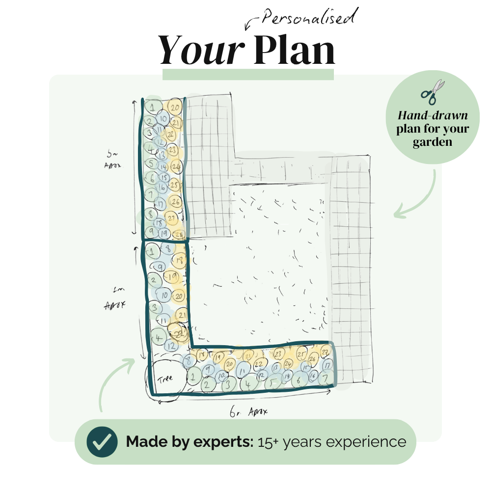 Your Garden Blueprint