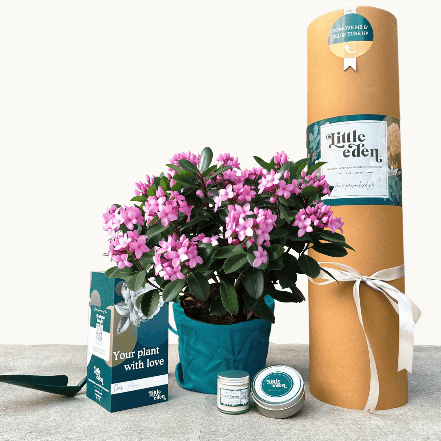 Daphne Gift Set