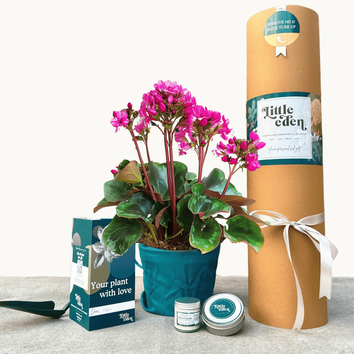 Elephants Ears Gift Set