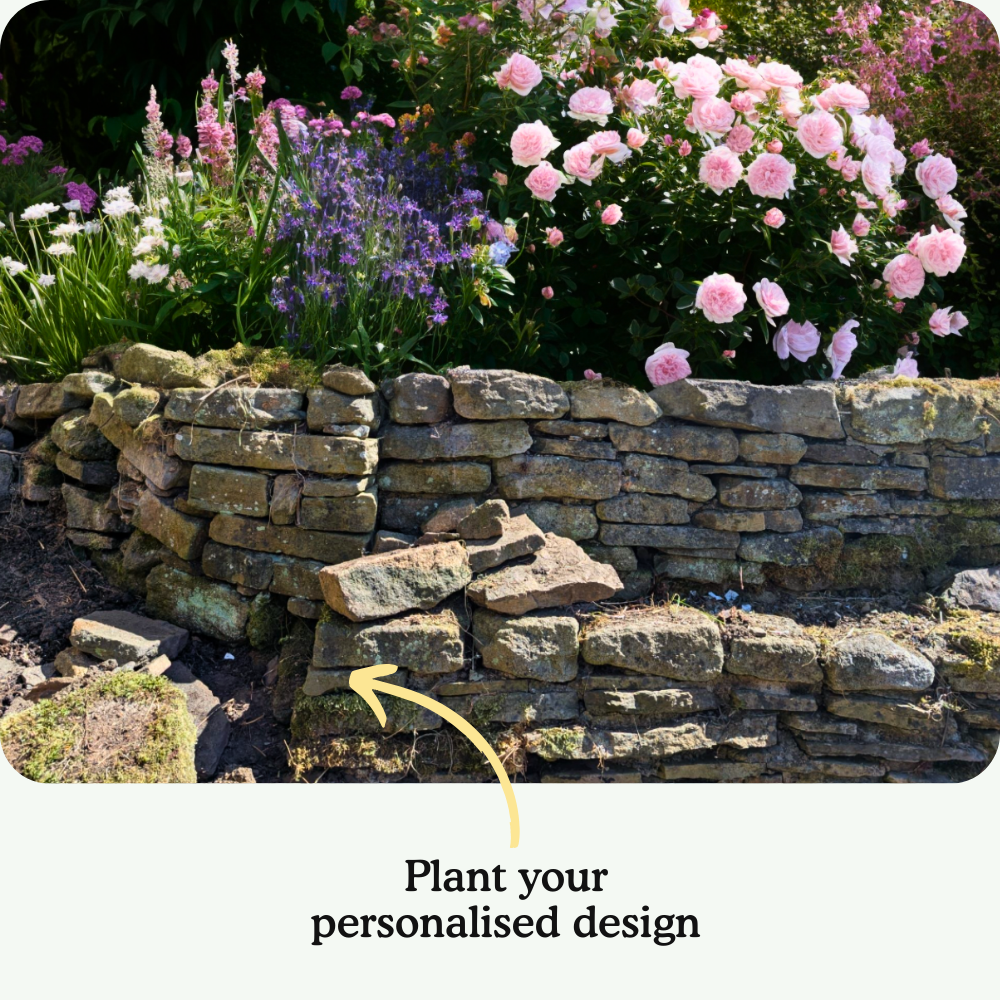 Anna's Garden-in-a-box