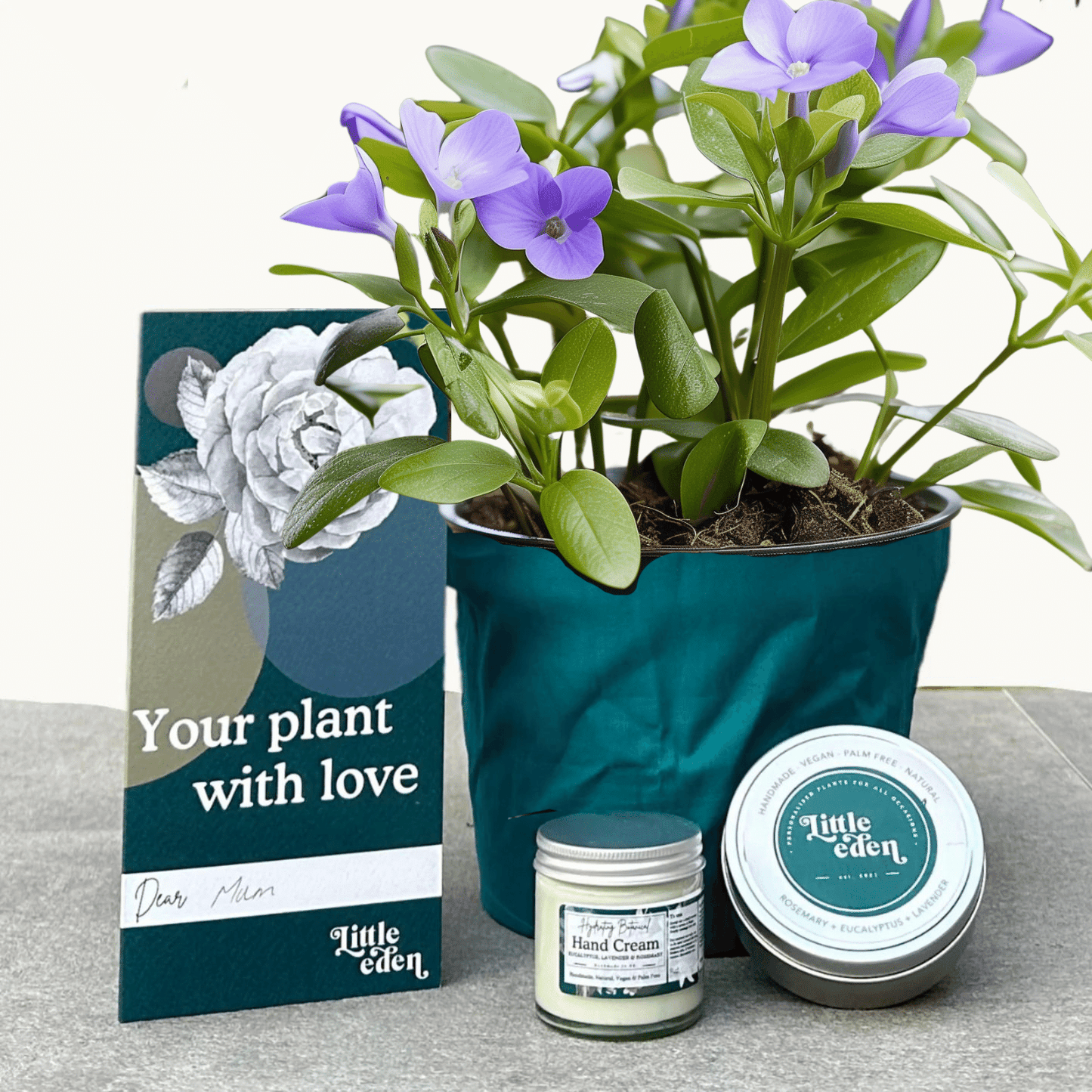 Lesser Periwinkle Gift Set