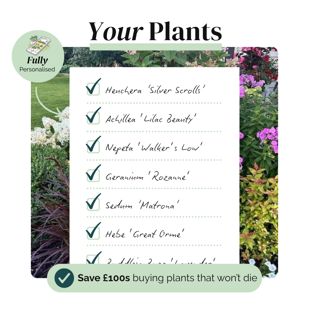 Your Garden Blueprint