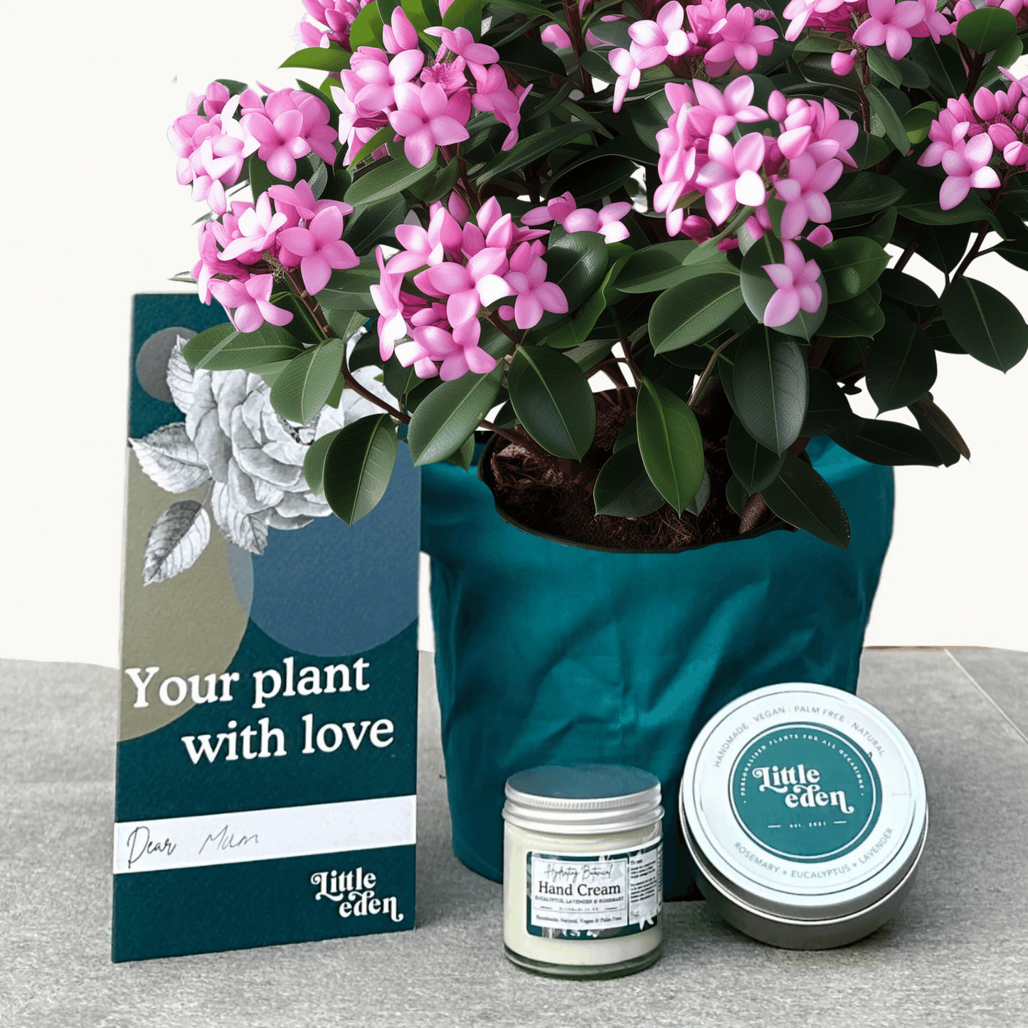 Daphne Gift Set