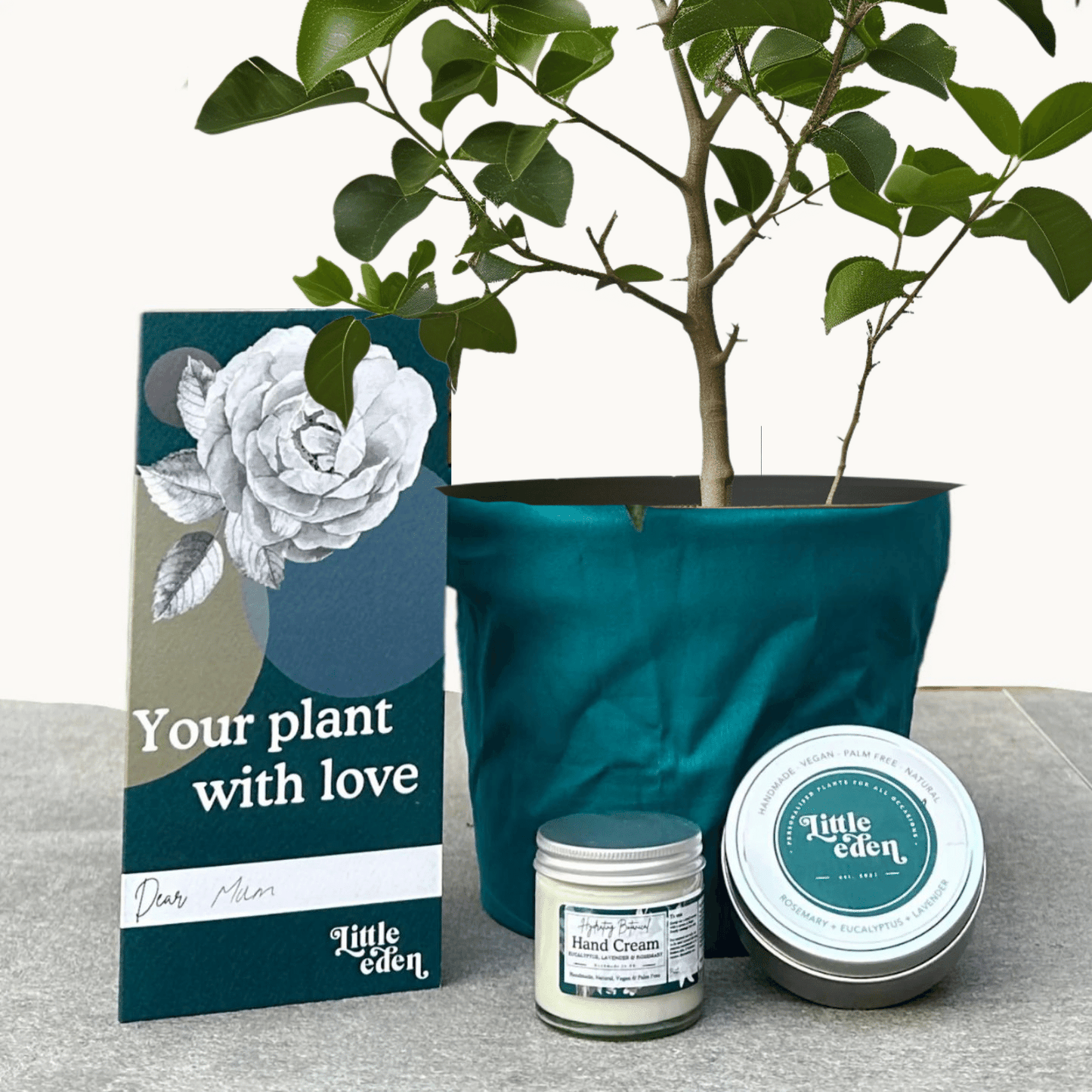 Japanese Quince Gift Set