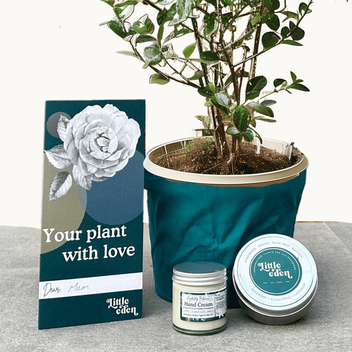 Osmanthus Gift Set