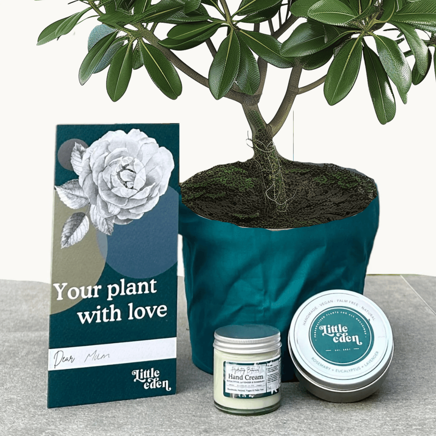 Japanese Mock Orange Gift Set