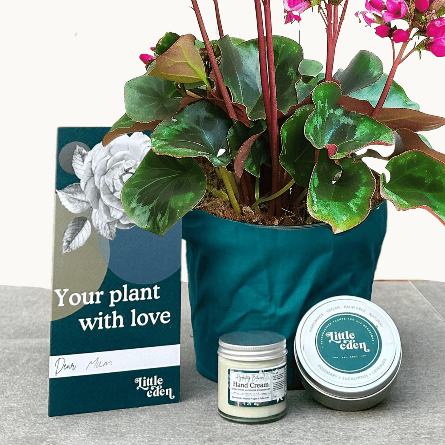 Elephants Ears Gift Set