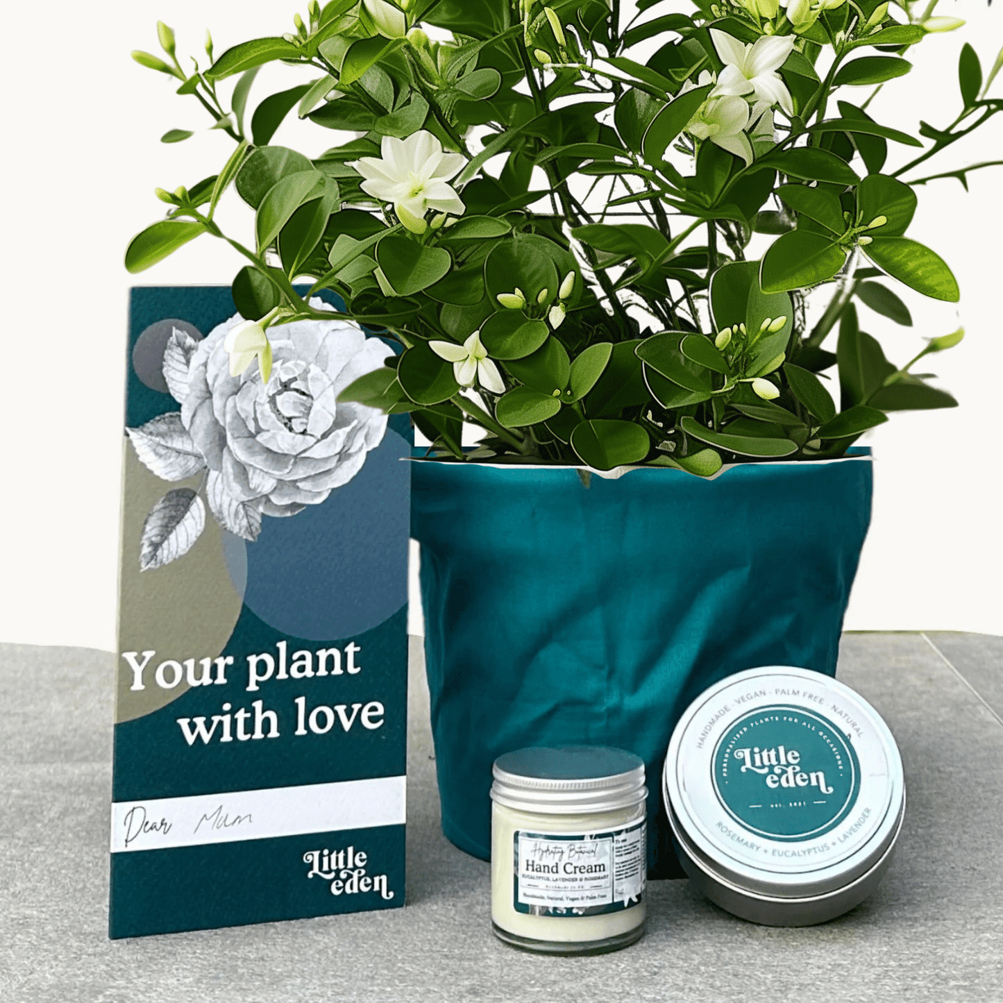 Jasmine Gift Set