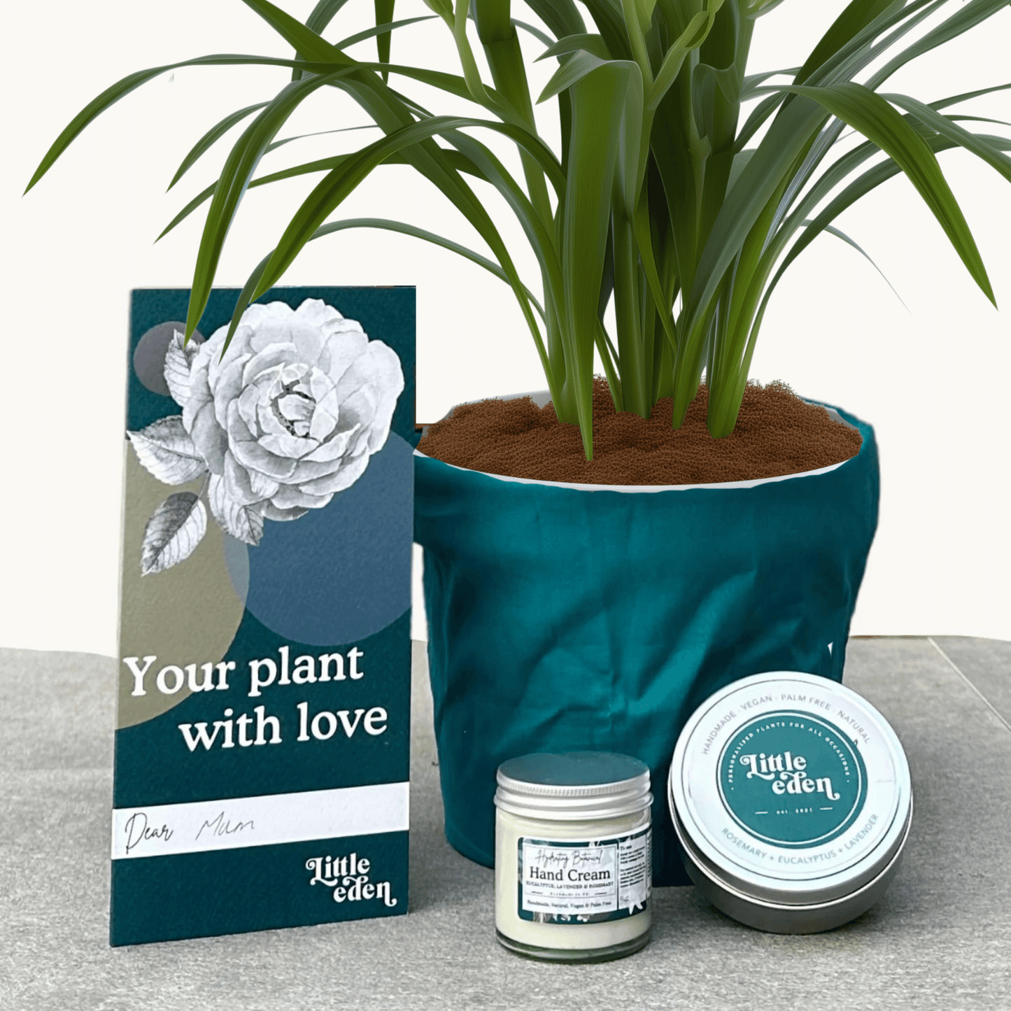 Daylily Gift Set