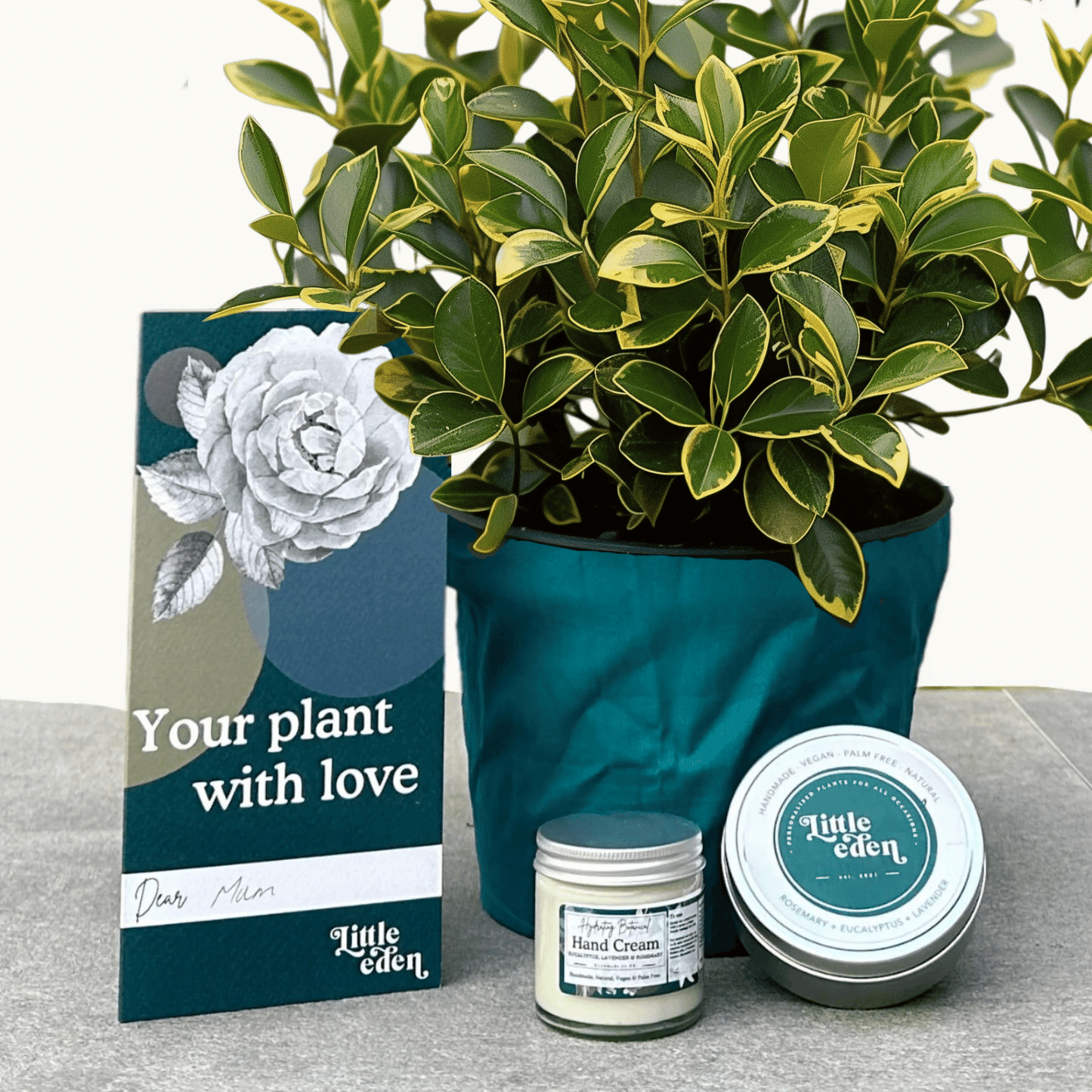 Spindle Tree Gift Set