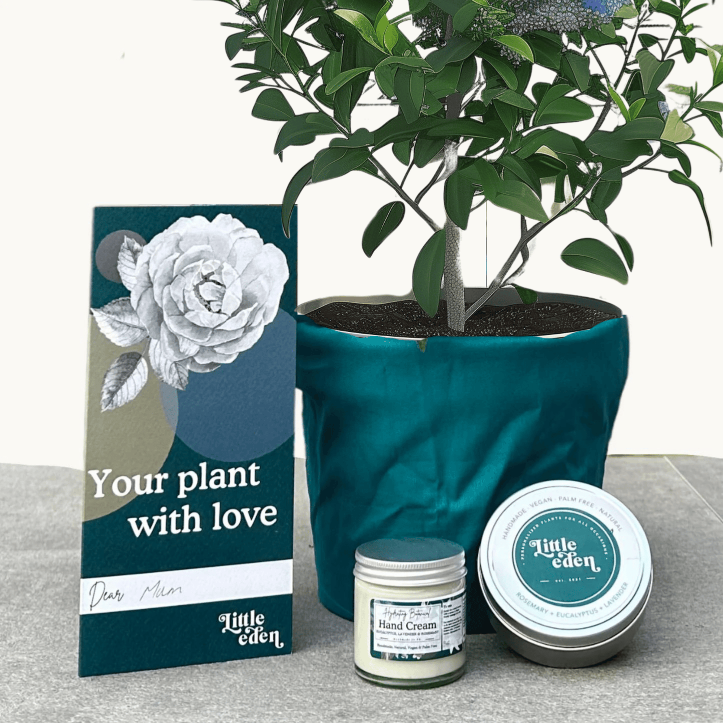 Californian Lilac Gift Set