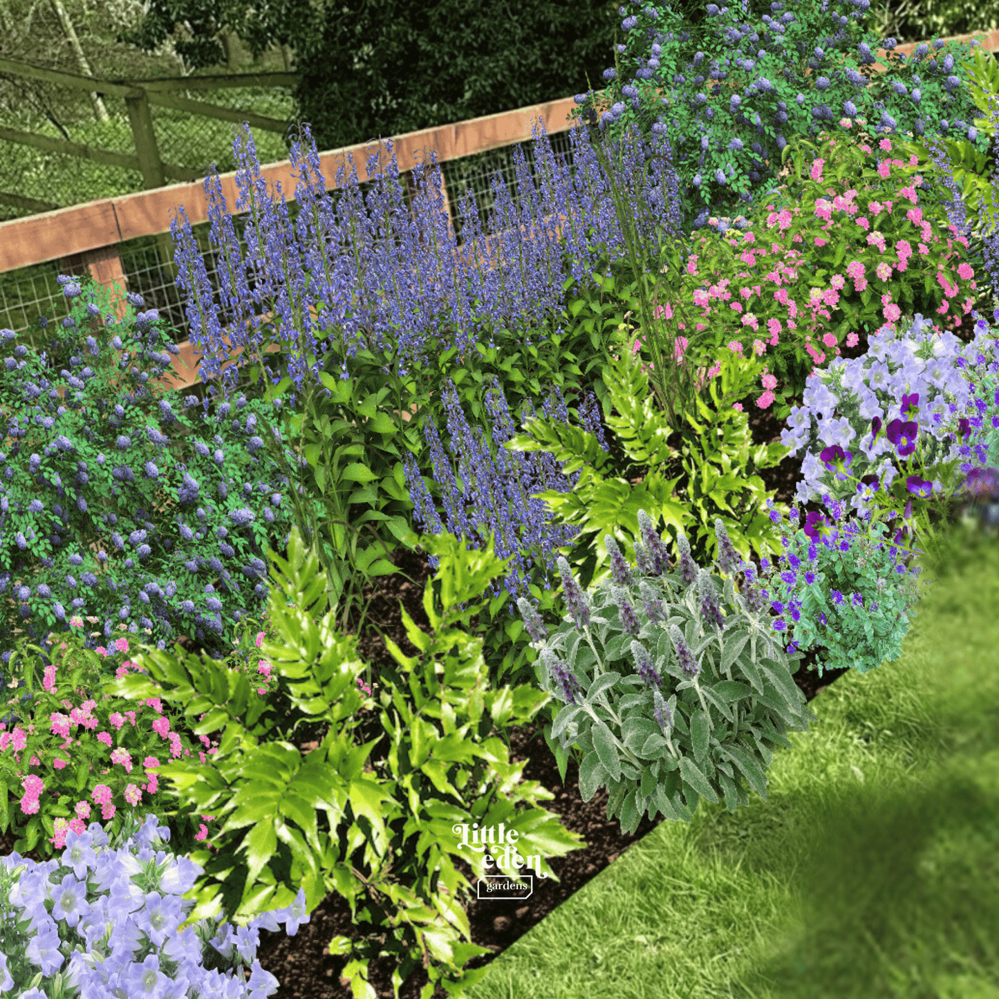 Tina's Garden-in-a-Box