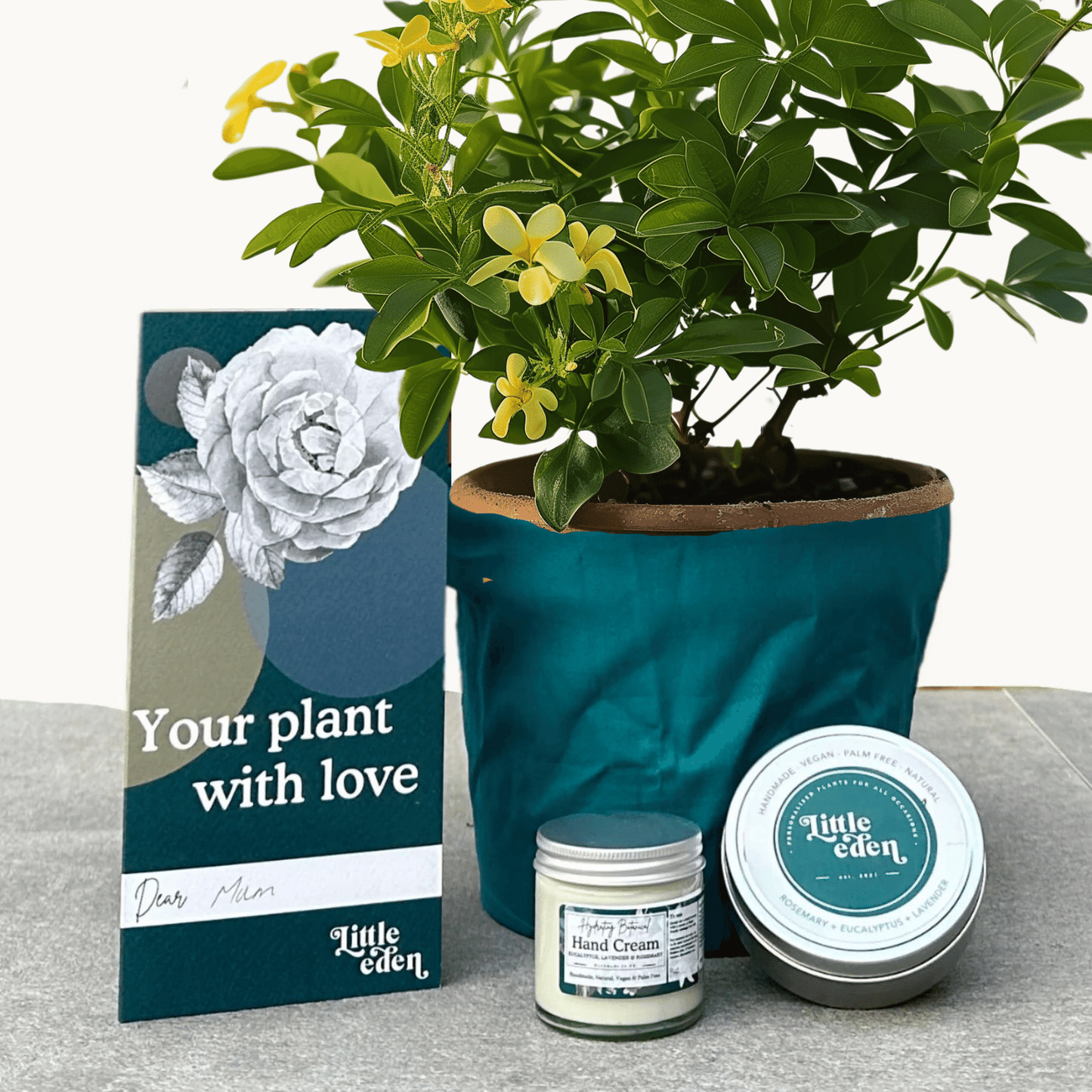 Mexican Orange Blossom Gift Set