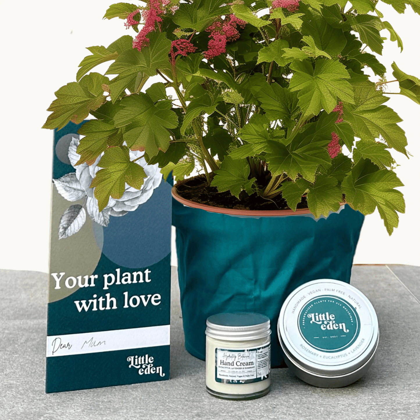 Winter Currant Gift Set