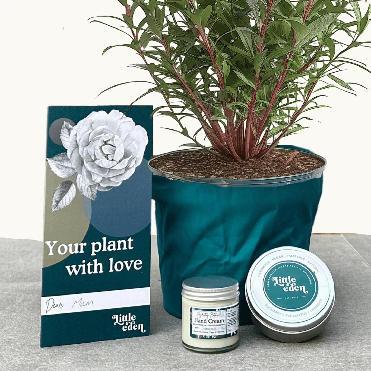 Gaura Gift Set