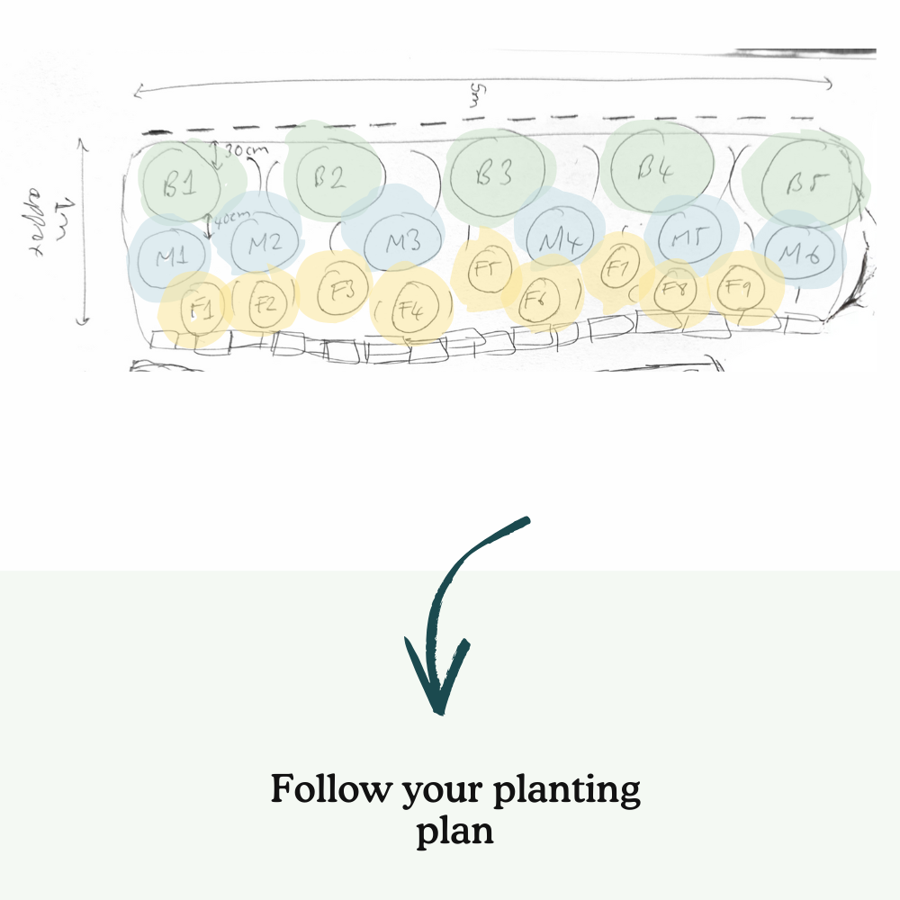 Anna's Garden-in-a-box