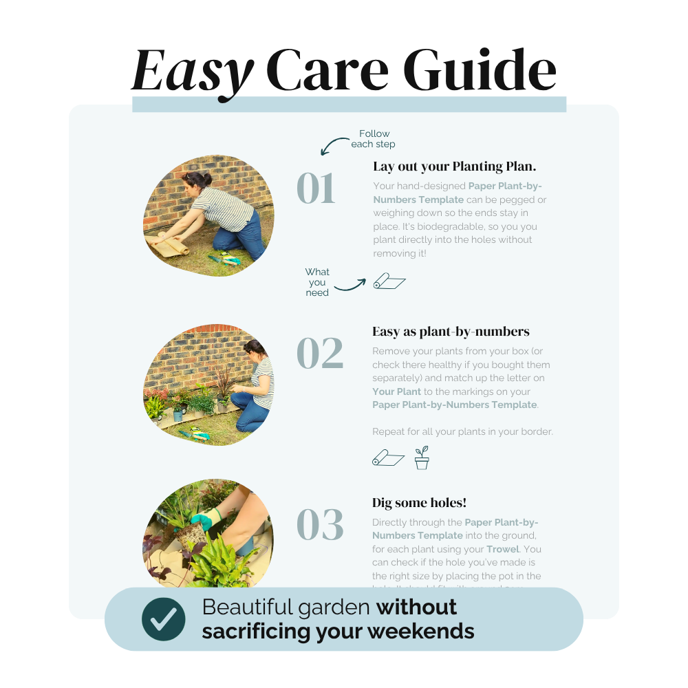 Your Garden Blueprint