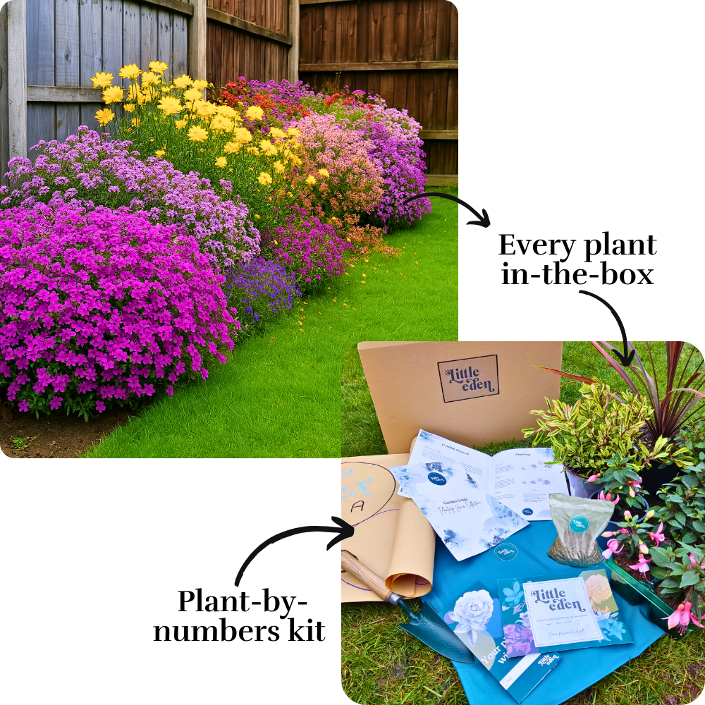 Stacey's Garden-in-a-Box