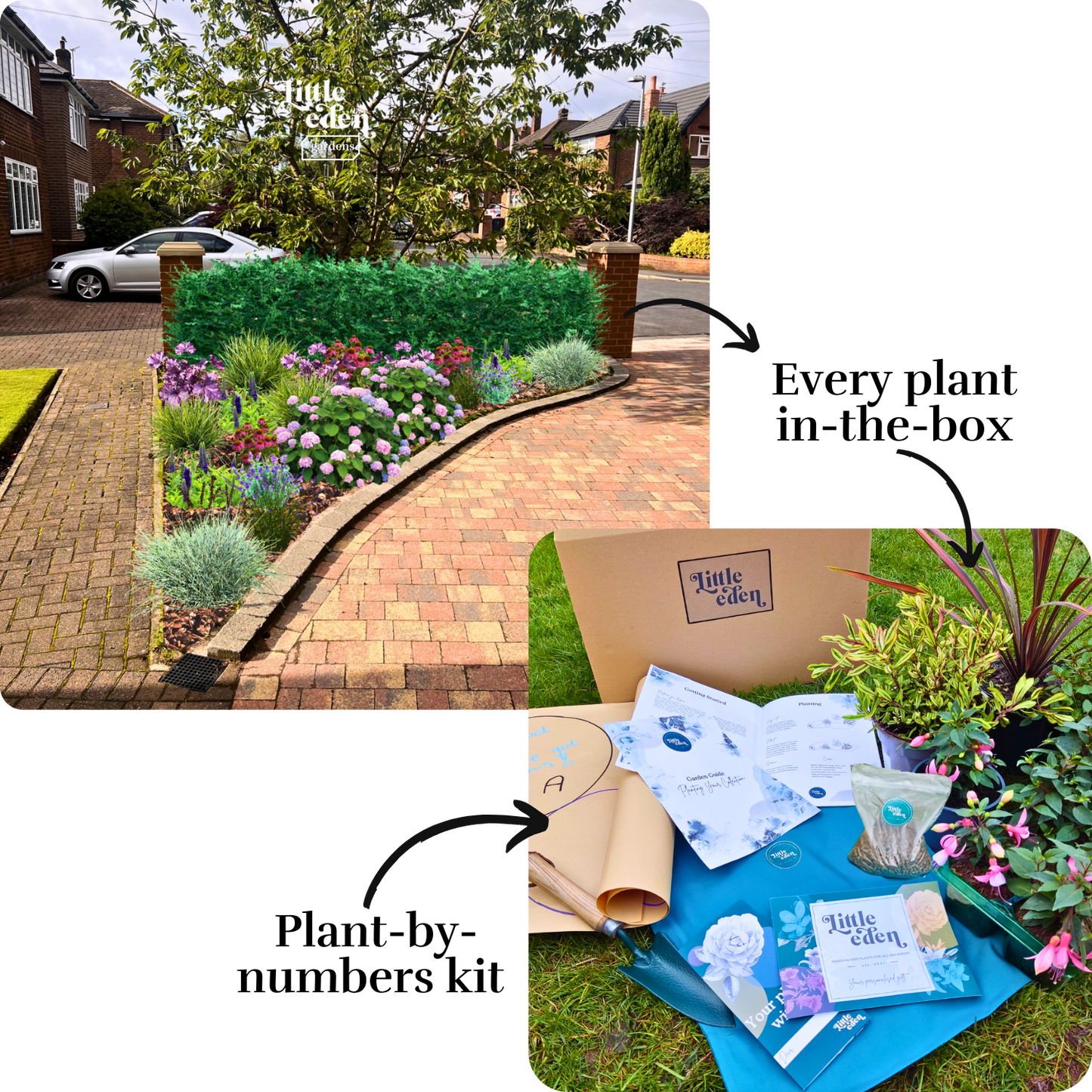 David's Garden-in-a-Box