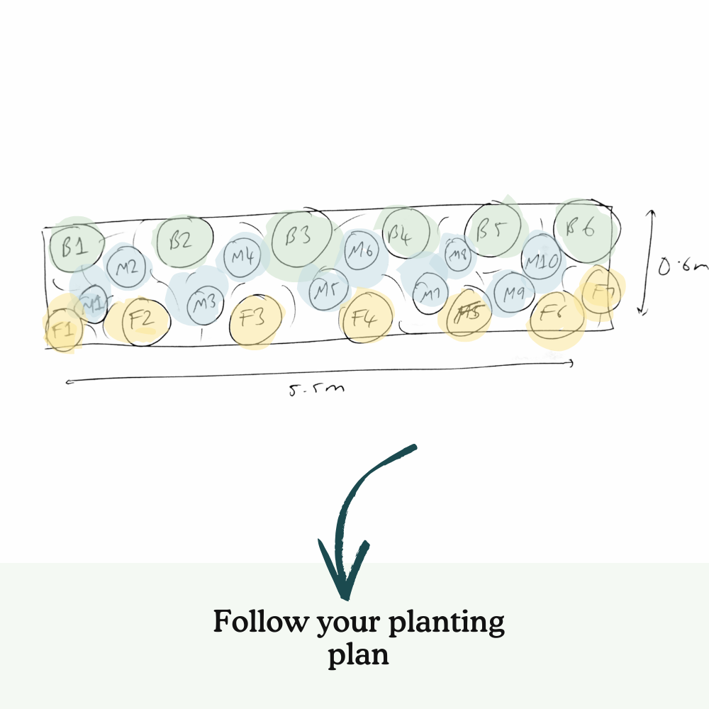 Jarrod's Left Border