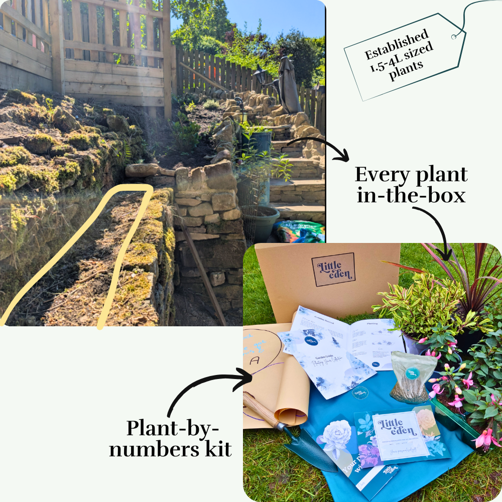 Anna's Garden-in-a-box