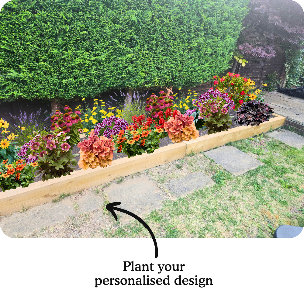 Ryan's Garden-in-a-Box