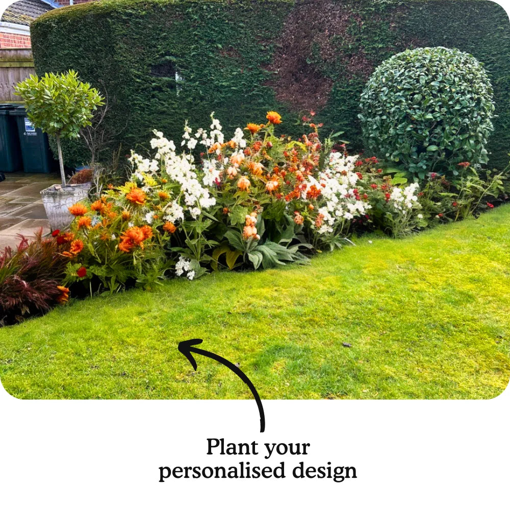 Dan's Garden-in-a-Box