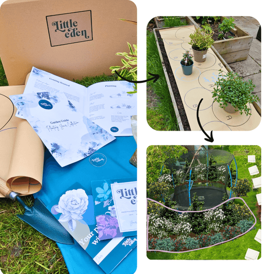 Esme's Plant-by-Numbers Kit (Border A)