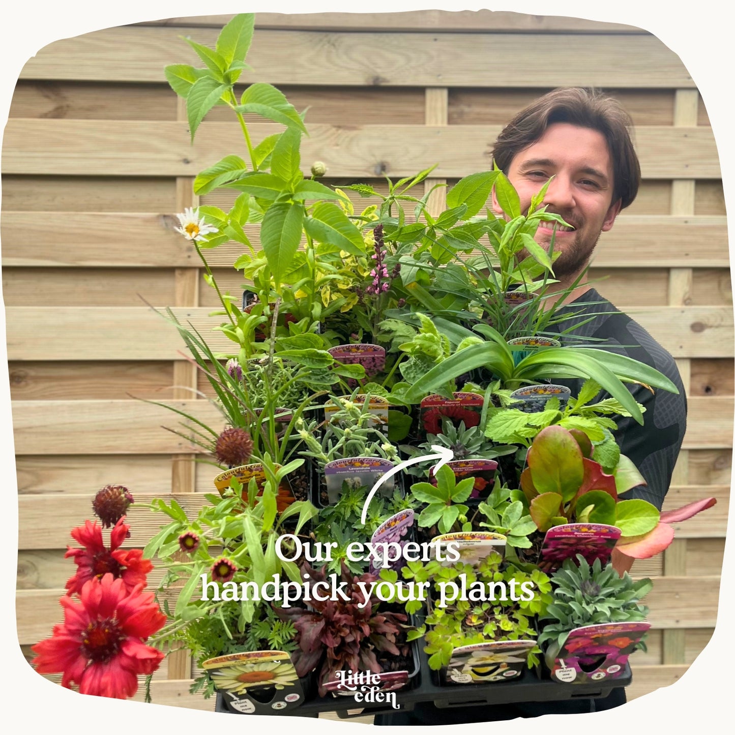 Your personalised garden in-a-box