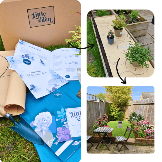 Amber's Plant-by-Numbers Kit