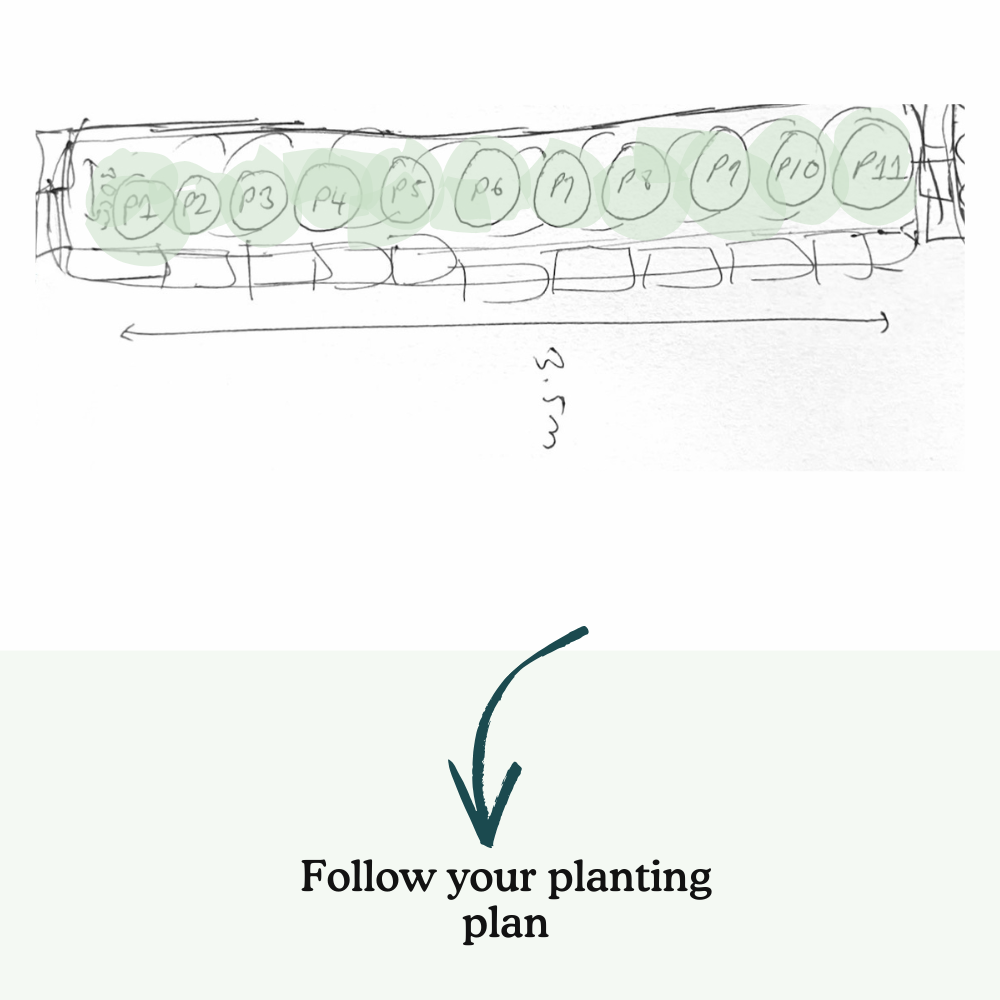 Anna's Garden-in-a-box