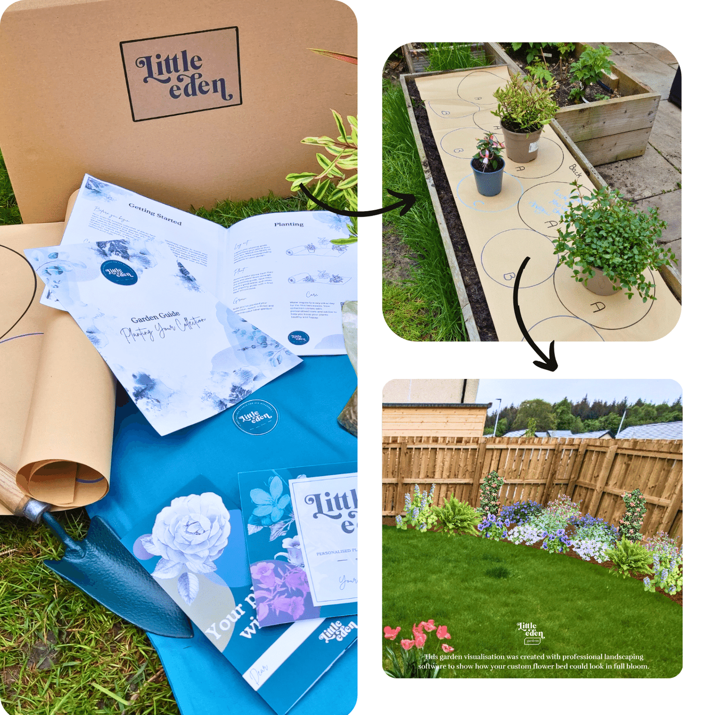 Juliette's Plant-by-Numbers Kit