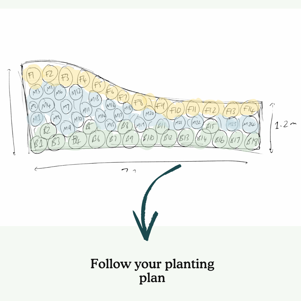 Jarrod's Right Border